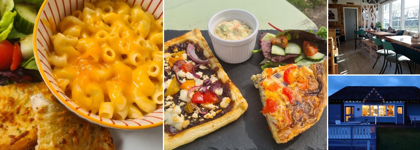 Wishing Tree by the Sea