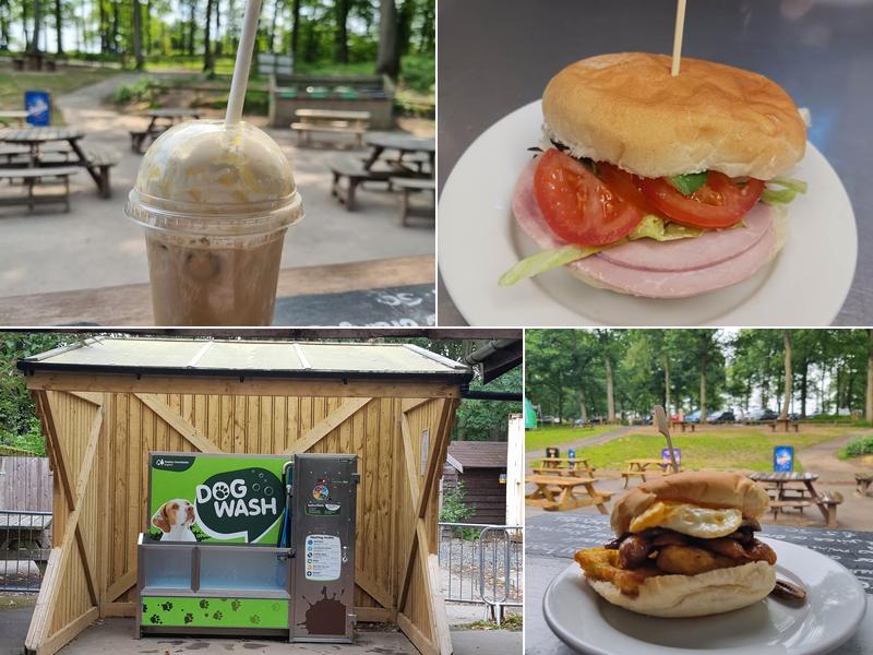 The Forest Cafe & Visitor Centre Ltd