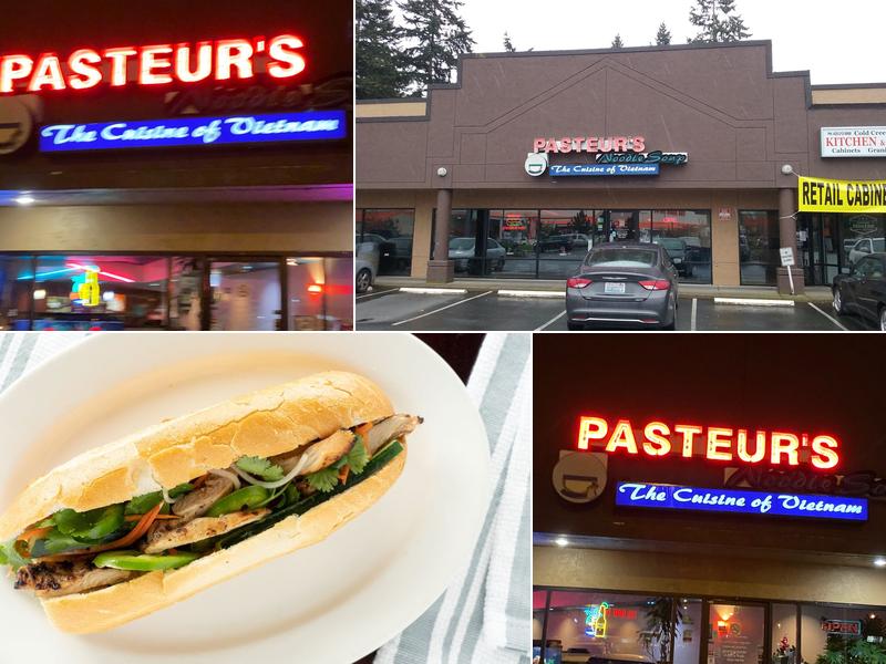 Pasteur's Noodle Soup