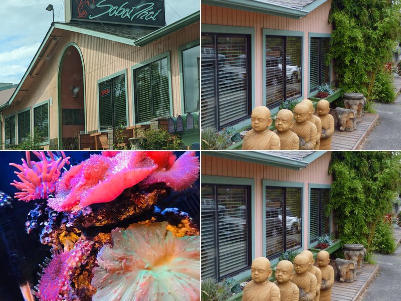 Sabai Thai 903 W 8th St #5721, Port Angeles