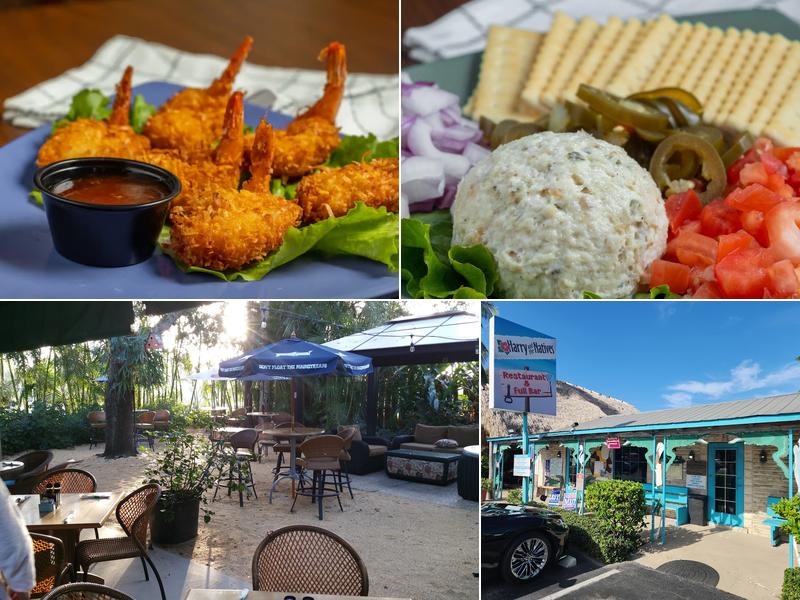 Harry and the Natives