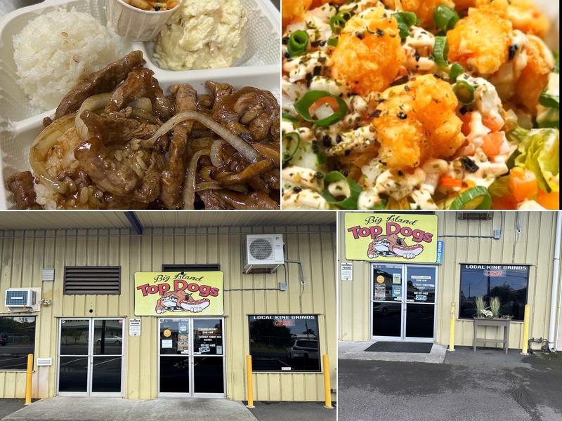 Big Island Top Dogs 811 Laukapu St #6, Hilo