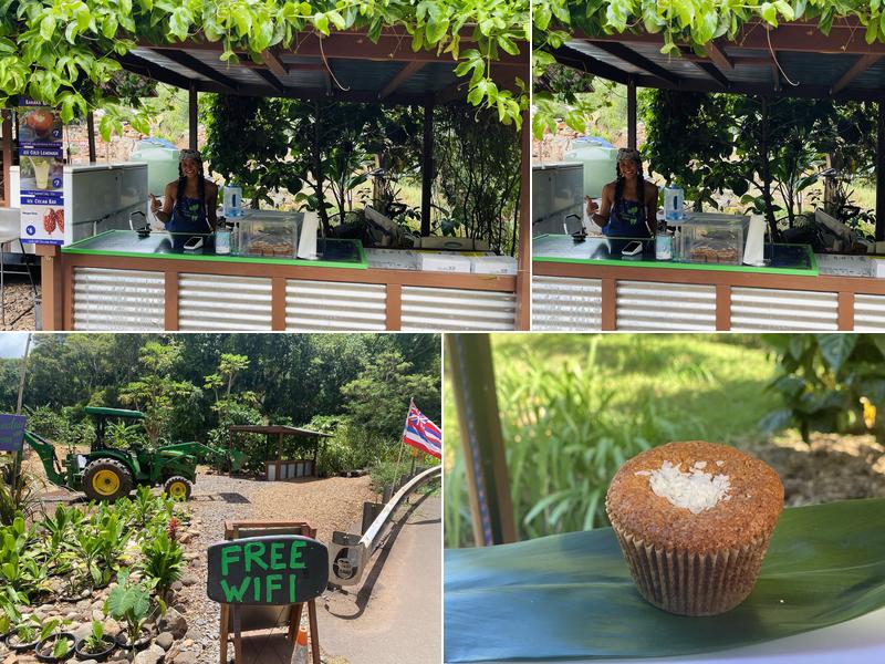 Honolua Farms Kitchen 6860 HI-30, Lahaina