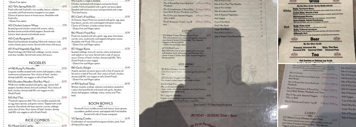 Spring Lotus Restaurant Menu