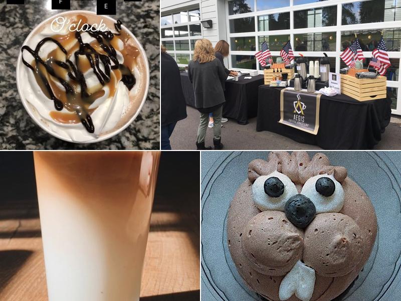 Aegis Coffee Roasters 2 E Long Ave Suite 100, DuBois