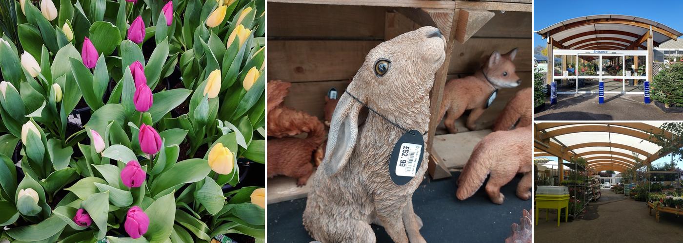 Palmer Gardens Garden Centre and Cafe (Shaw Trust)