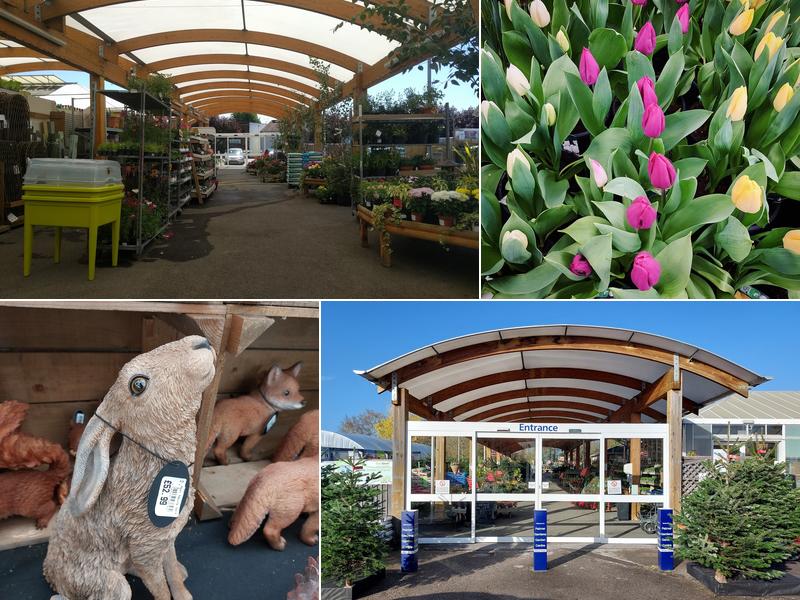 Palmer Gardens Garden Centre and Cafe (Shaw Trust)