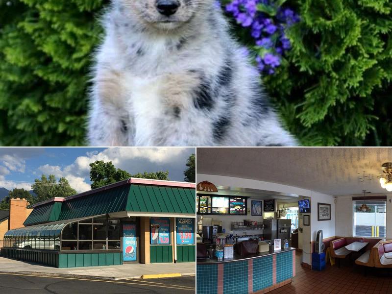 Barry's Parkview Drive Inn