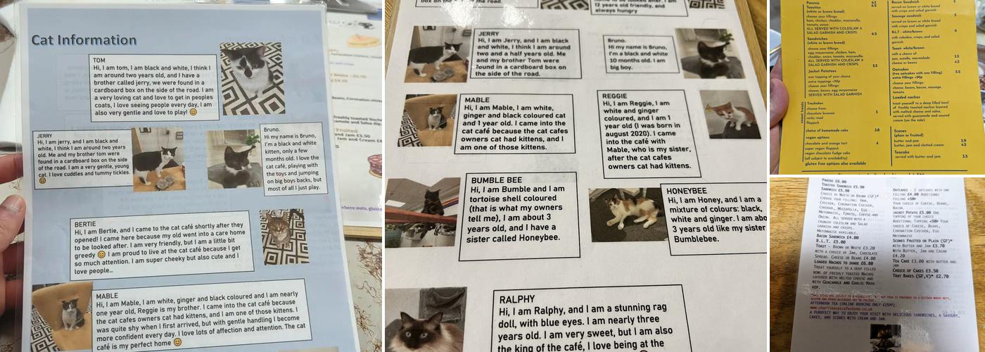 Charlies Cat Cafe Menu