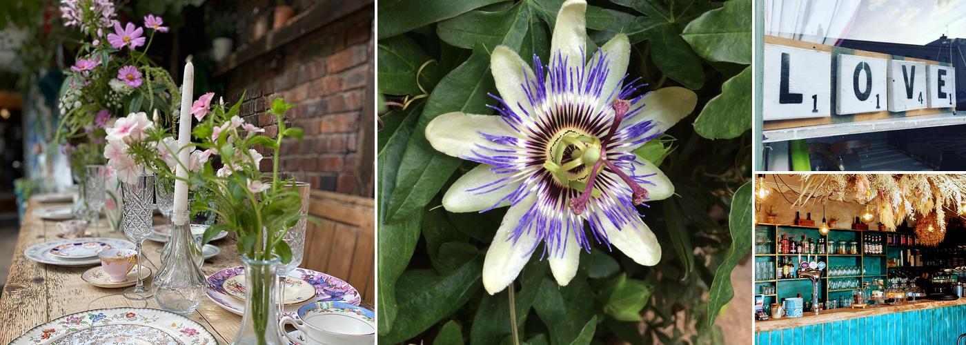 Curious Cafe & Bistro