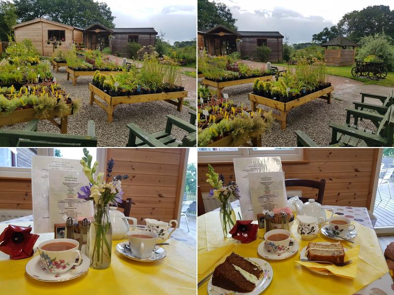 Oak Tree Farm Rural Project