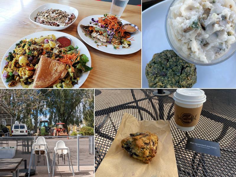 The Uprooted Kitchen