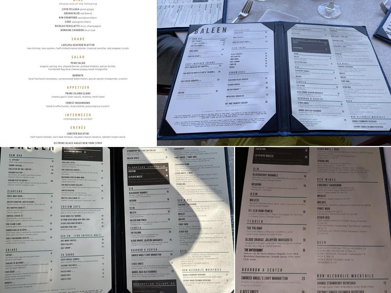 BALEEN Menu