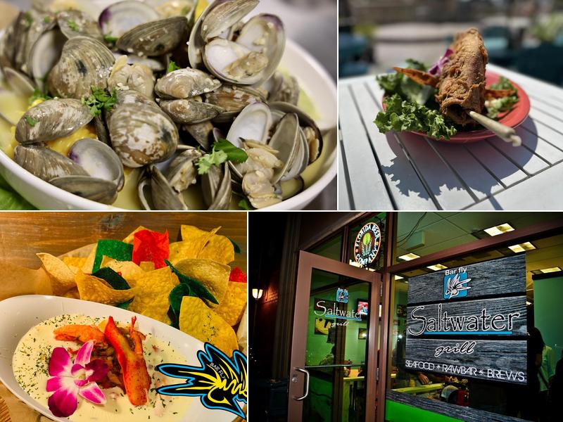 Bar fly Safety Harbor