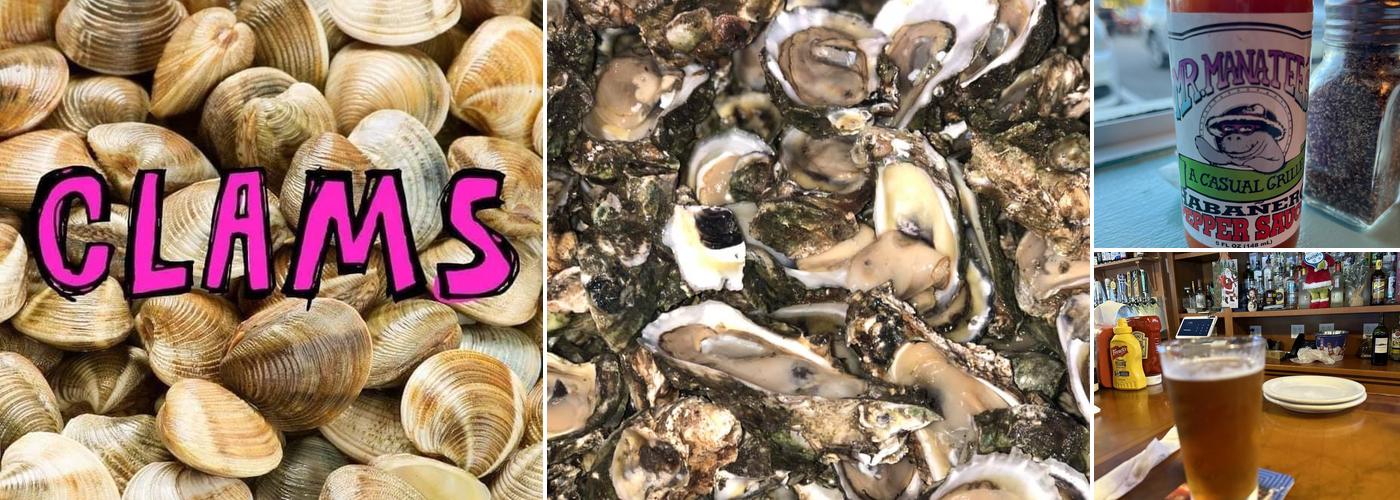 Mr Manatee's Casual Grille