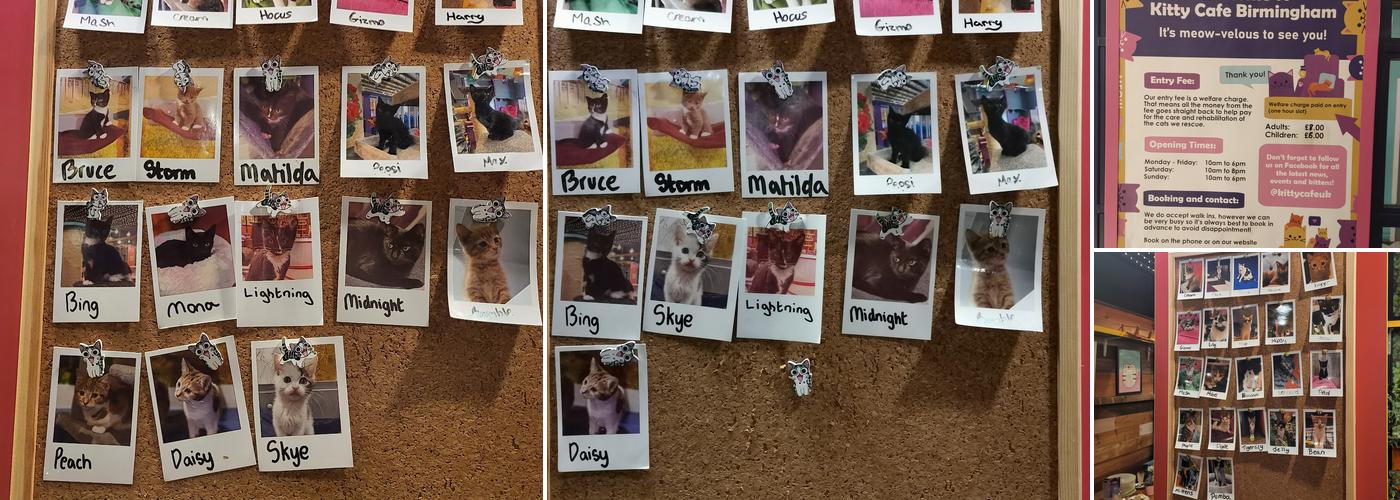 Kitty Café Birmingham Menu