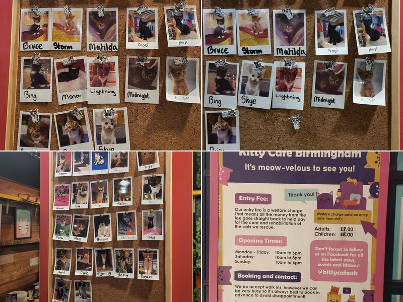 Kitty Café Birmingham Menu