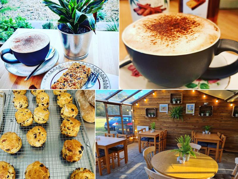 The Daisy Tea Garden