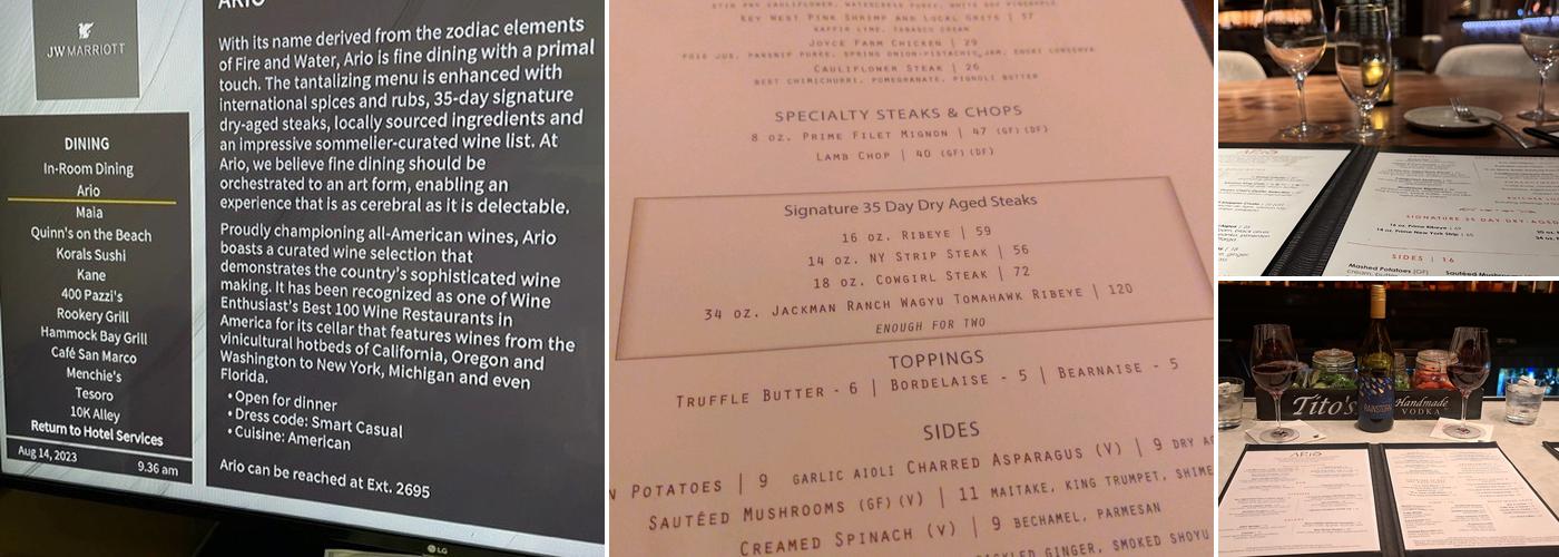 Ario Menu
