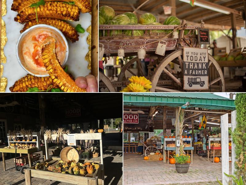 Great Scott Farms 26216 County Rd 448A, Mt Dora