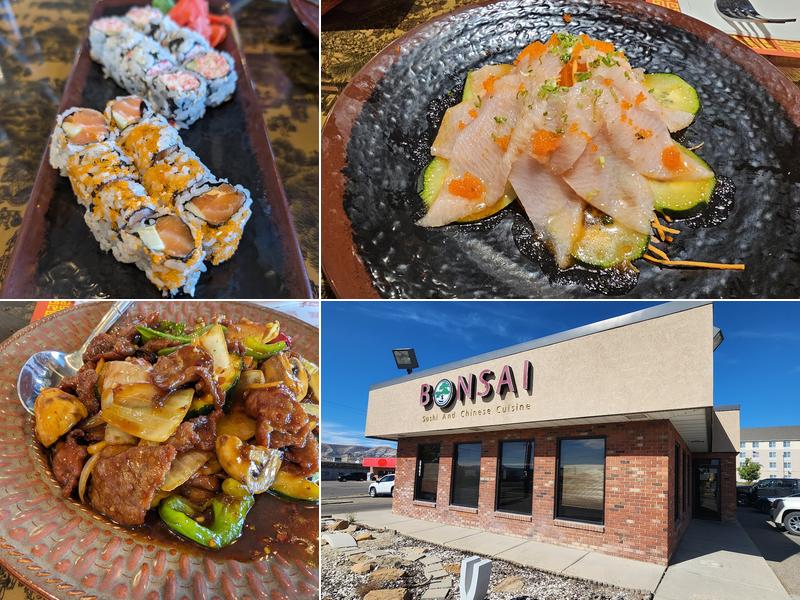 Bonsai 1996 Dewar Dr, Rock Springs