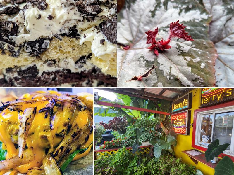 Jerry's Gourmet Burgers