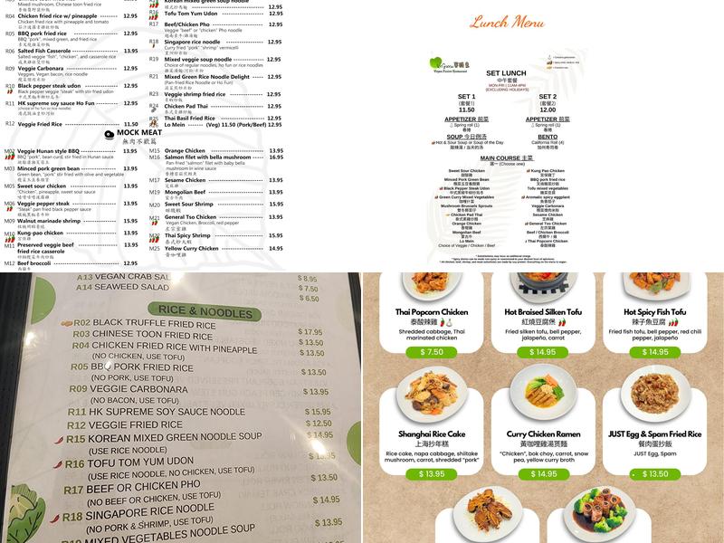 VeGreen Vegan Fusion Restaurant Menu