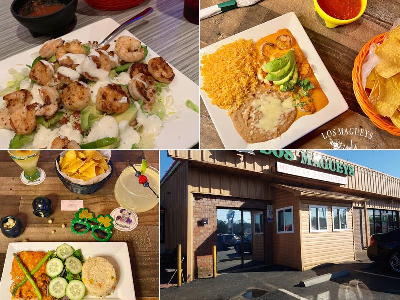 Los Magueys