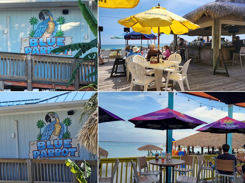 Blue Parrot Ocean Front Cafe