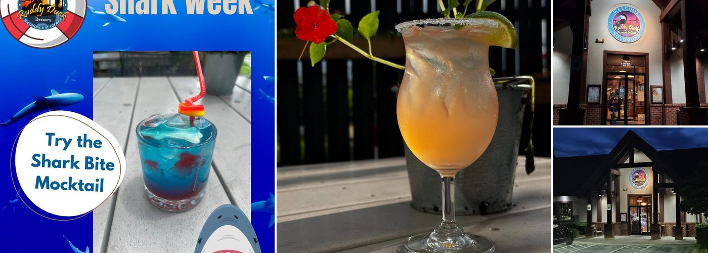 Ruddy Duck Brewery & Grill