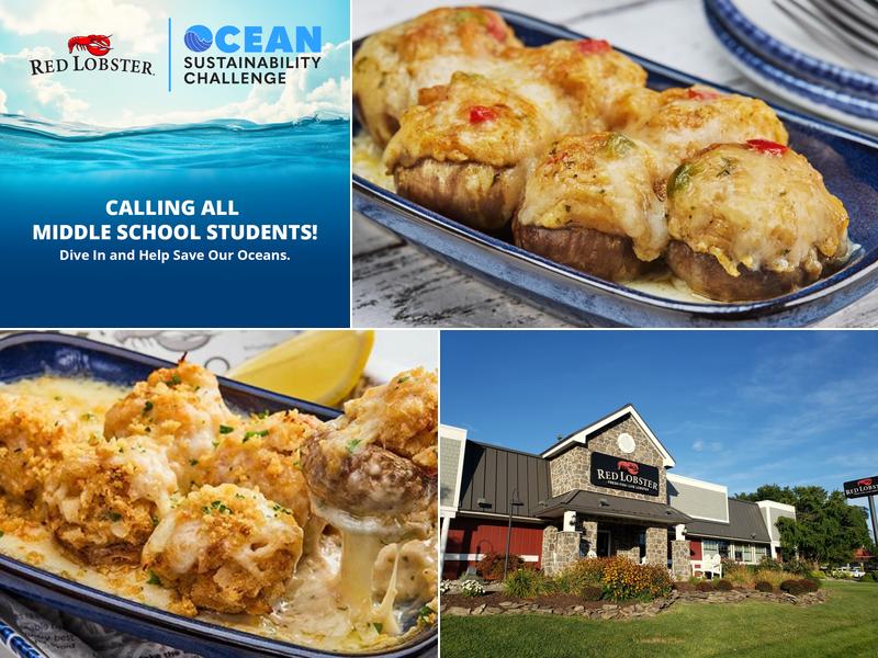 Red Lobster SOUTH OF DOVER DOWNS CASINO, 271 N Dupont Hwy, Dover