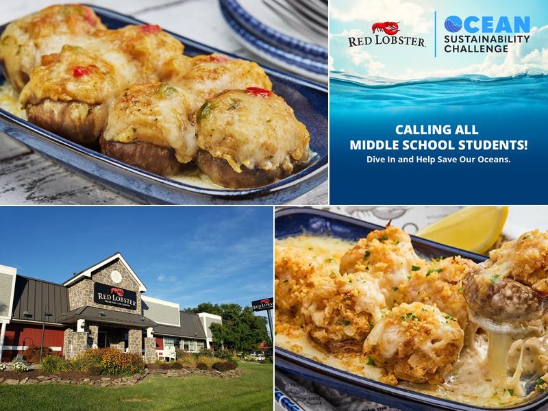 Red Lobster SOUTH OF DOVER DOWNS CASINO, 271 N Dupont Hwy, Dover