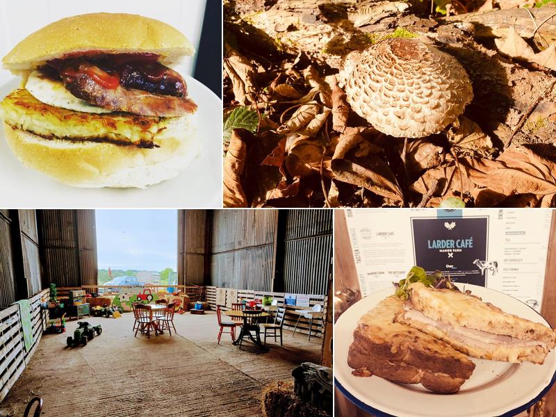 The Larder at Manor Farm