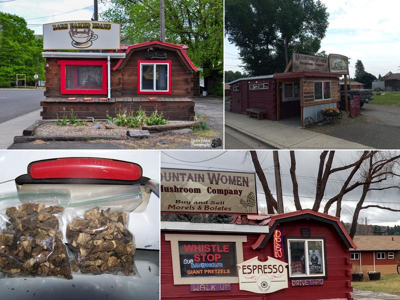 Espresso Wagon Coffee Company