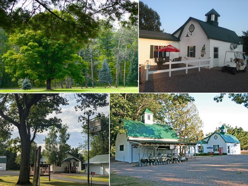 Lakeview Golf & Pizza 10334 Sandy Beach Rd, Hayward