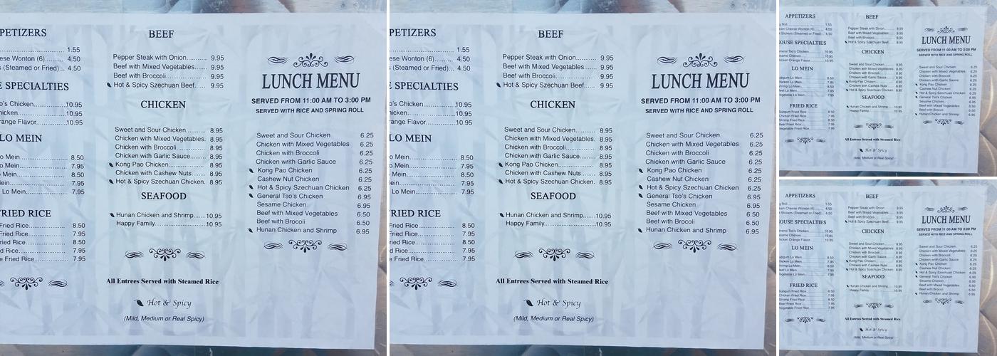 Panda Chinese Food Truck Menu