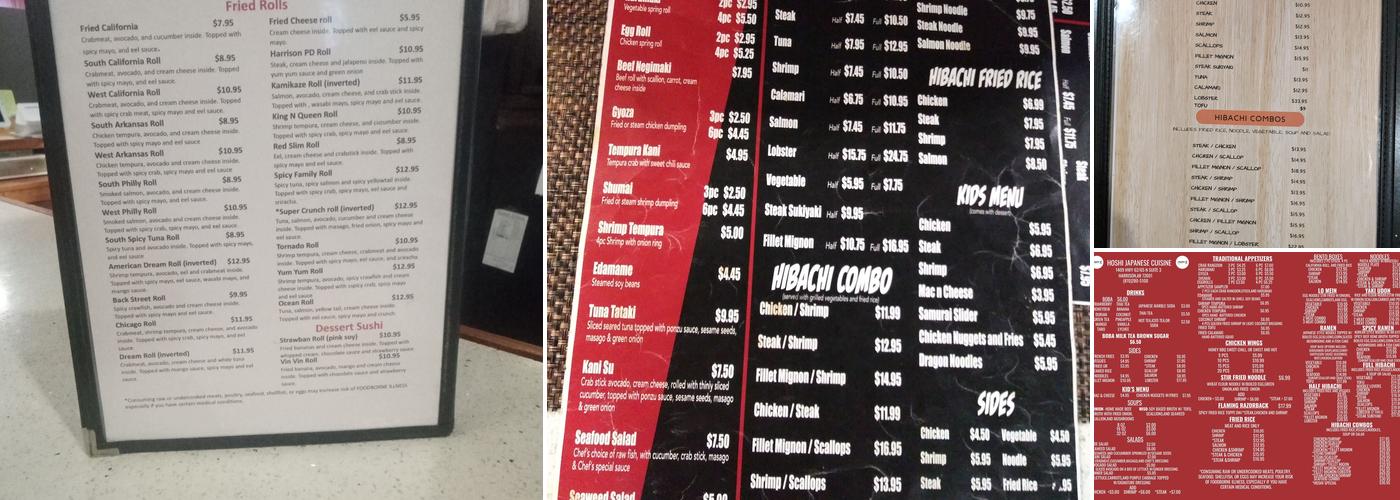 Hoshi Japanese Cuisine Menu