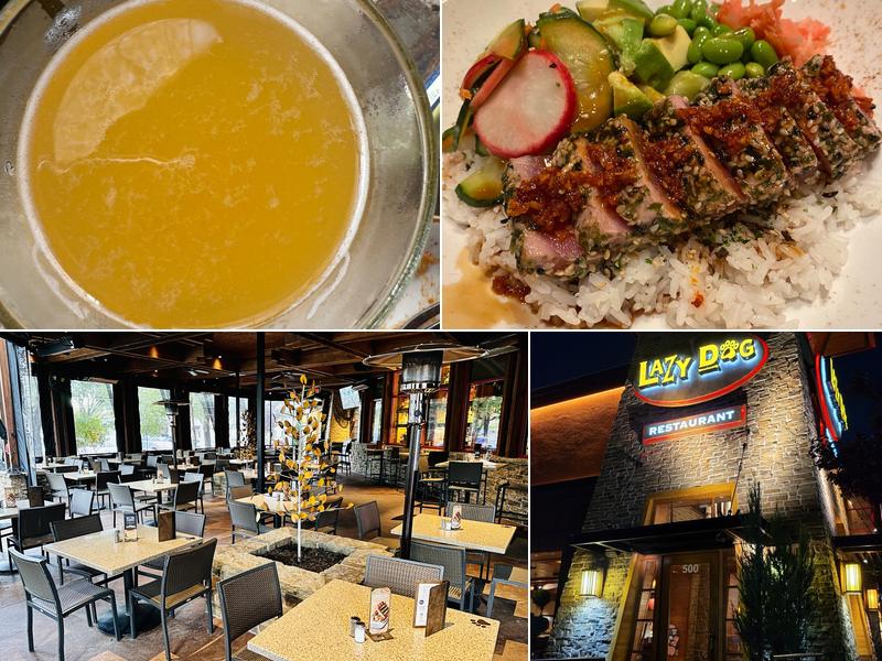 Lazy Dog Restaurant & Bar 5100 Belt Line Rd., St, 500, Addison