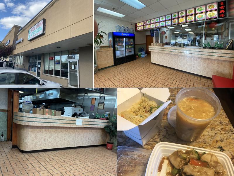 Spring Garden 4059, 68 Owasco St, Auburn