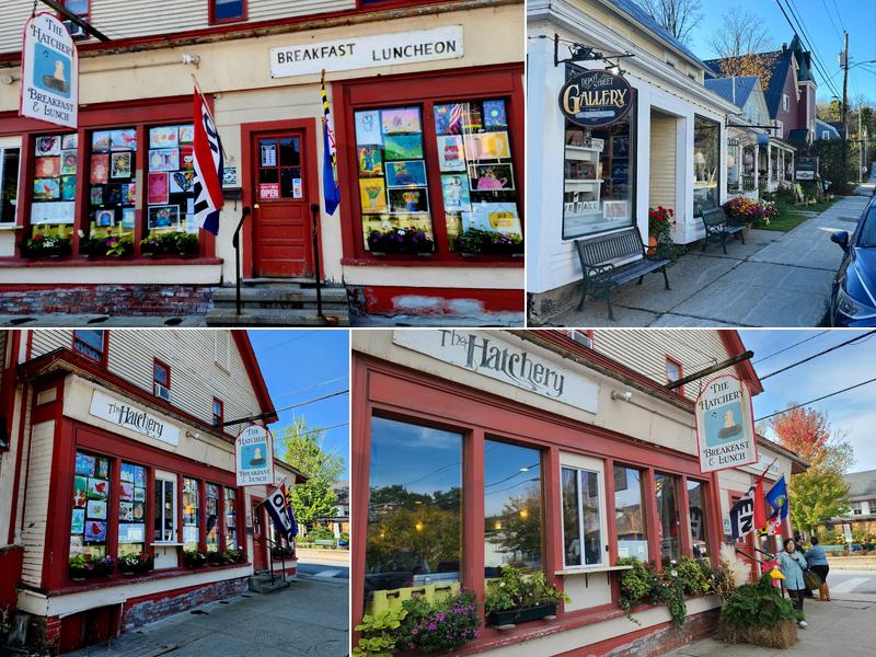 The Hatchery 164 Main St, Ludlow