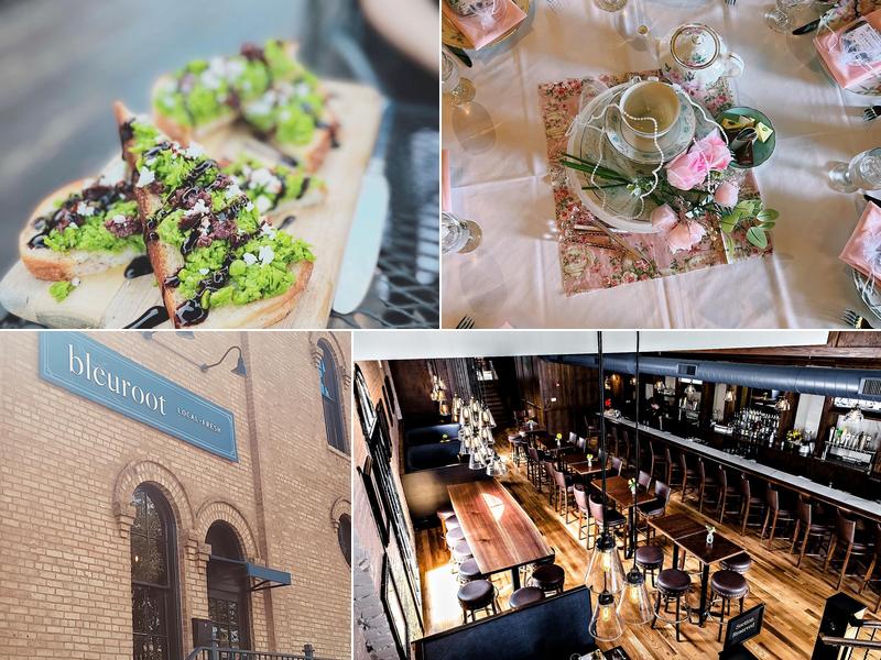 Bleuroot 98 W Main St #2015, West Dundee