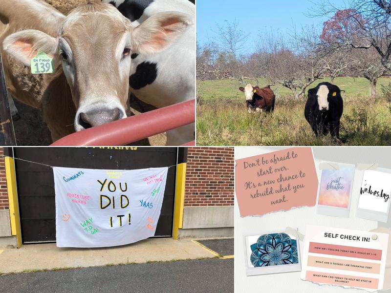 Oliver Smith Restaurant