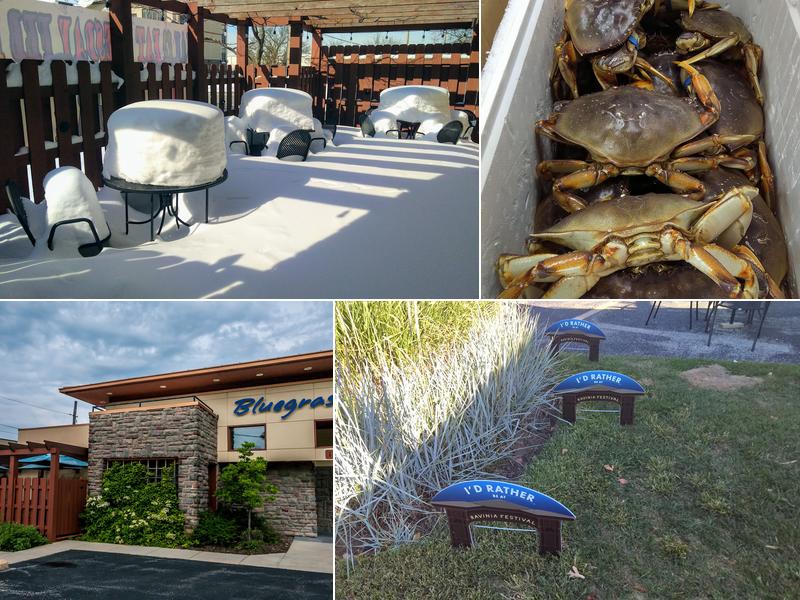 Bluegrass 1636 Old Deerfield Rd, Highland Park