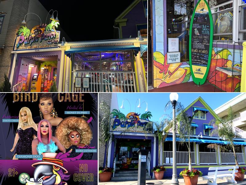 Purple Parrot Grill Beach Haus & Biergarten 134 Rehoboth Ave, Rehoboth Beach