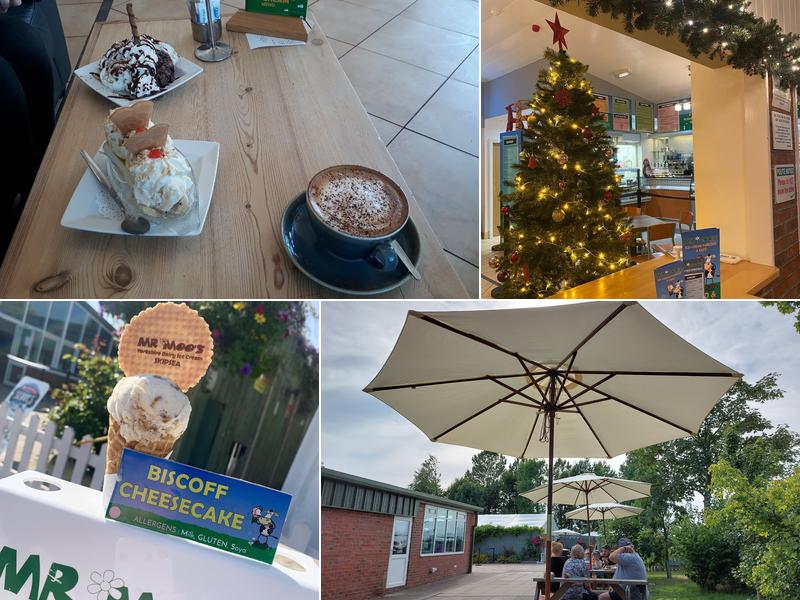 Mr Moo's Ice Cream Parlour