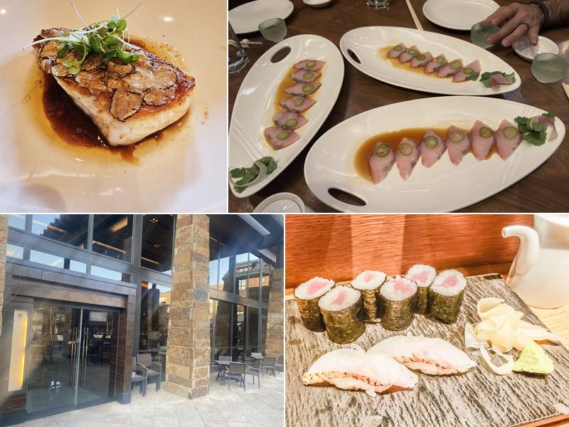 Matsuhisa 141 E Meadow Dr, Vail
