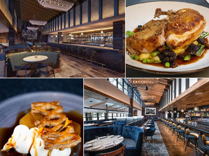 Slope Room 352 E Meadow Dr, Vail