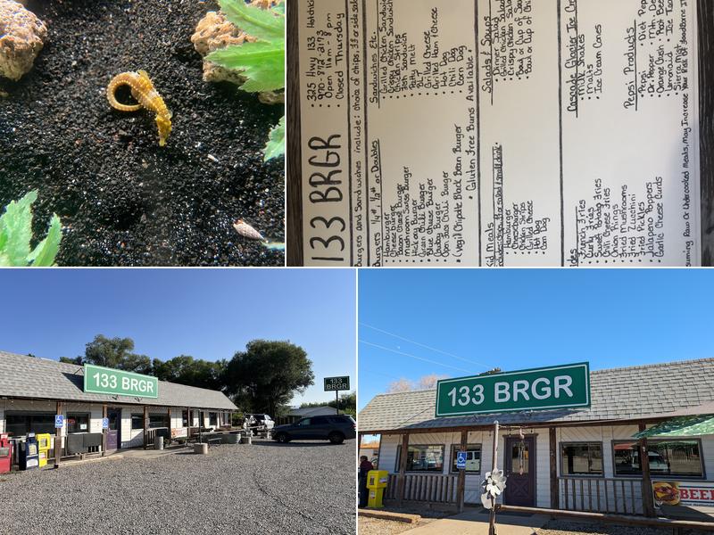 133 BRGR 325 CO-133, Hotchkiss