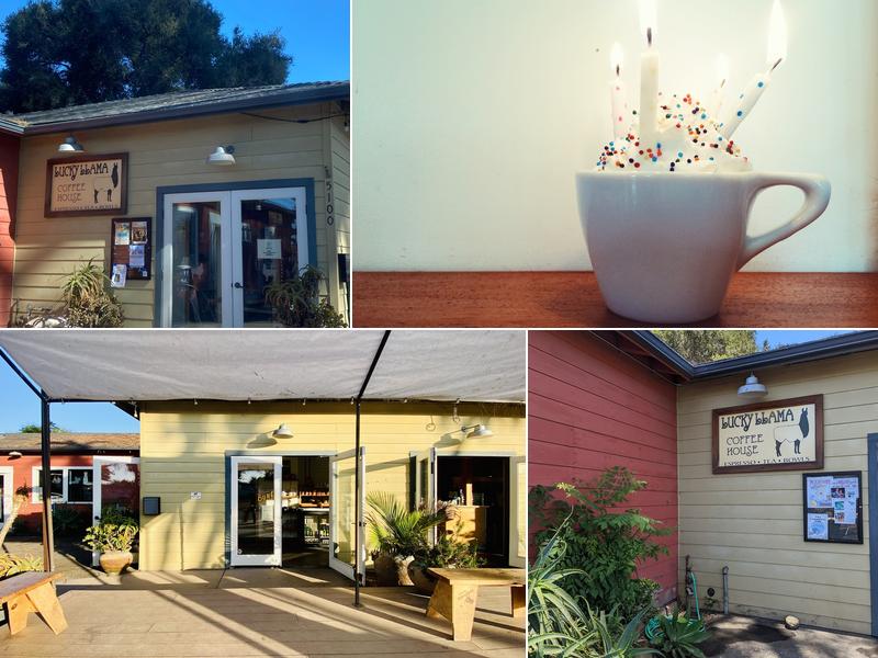 Lucky Llama Coffee House