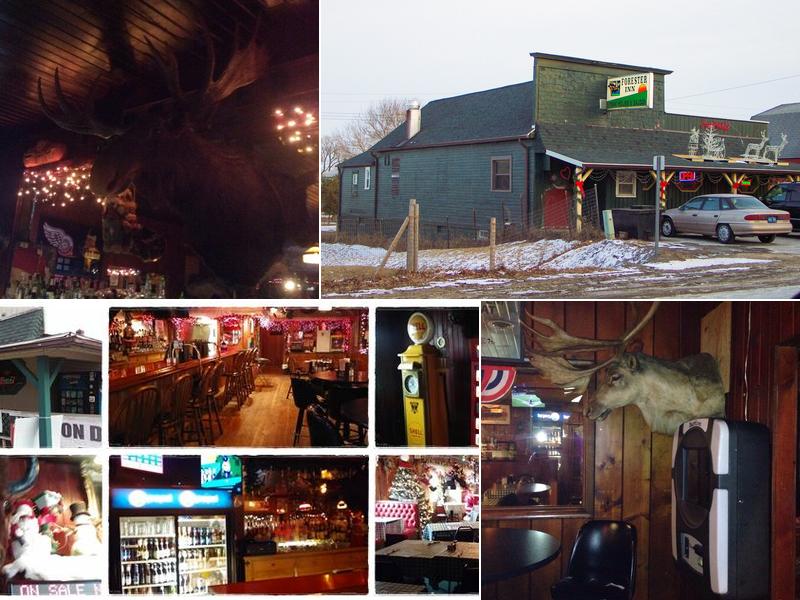 Forester Inn 2422 N Lakeshore Rd, Carsonville